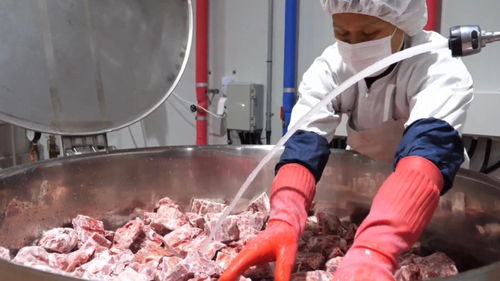 超大規(guī)模的韓國食品工廠,制作出來的排骨真是色香味俱全