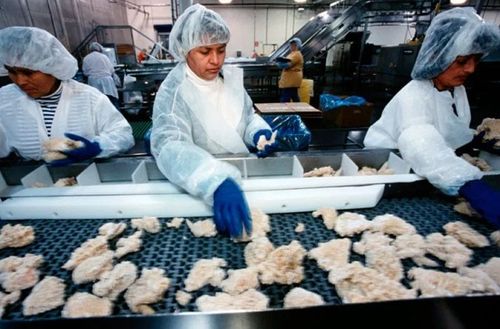 豬崽 安樂(lè)死 蔬菜爛地里......疫情撕裂食品供應(yīng)鏈 美國(guó)民眾 口糧 難安